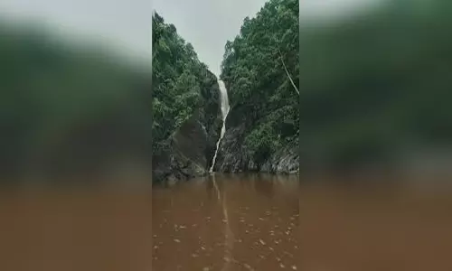 नई कार खरीदी इसी खुशी में पिकनिक मनाने पहुंचे...तिरू फॉल में नहाने के दौरान डूबने से तीन युवकों की मौत