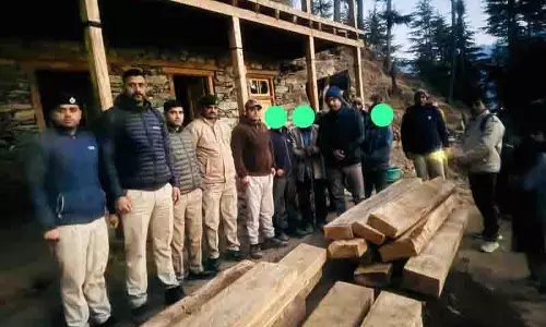 Himachal: अवैध लकड़ी जब्त, पिता-पुत्र गिरफ्तार