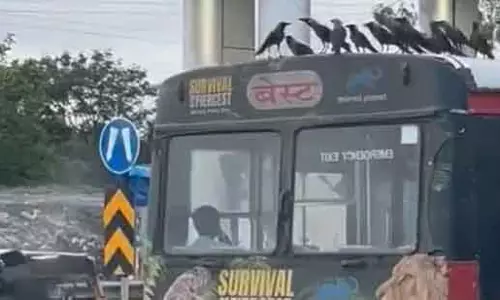 Mumbai : वेतन भुगतान में देरी, वेट लीज बस चालकों के एक और समूह ने अपनाया हड़ताल का रास्ता Mumbai : वेतन भुगतान में देरी, वेट लीज बस चालकों के एक और समूह ने अपनाया हड़ताल का रास्ता