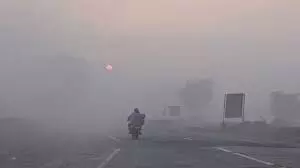 MP Weather: बर्फीली हवाओं से बढ़ी ठंड,  कई जिलों में अलर्ट