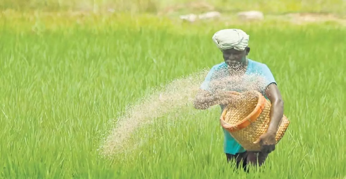 Tamil Nadu: अरियालुर और पेरम्बलुर के किसान स्थायी धान खरीद की मांग कर रहे