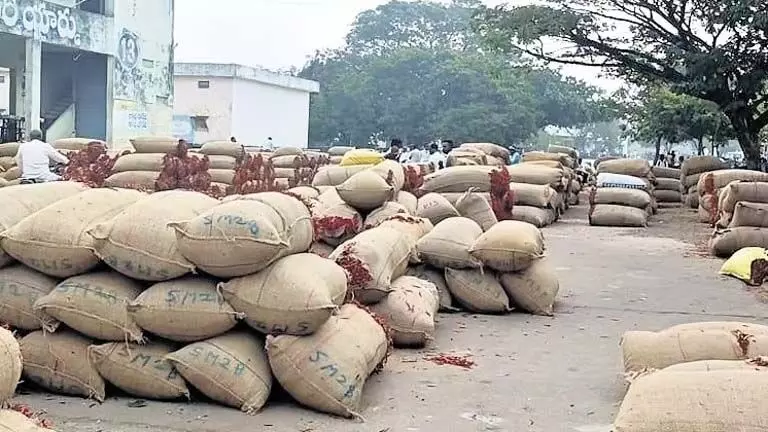 Warangal में लाल मिर्च के किसानों ने निर्यात में गिरावट-बाजार की चुनौतियों के बीच कम कीमतों का विरोध किया