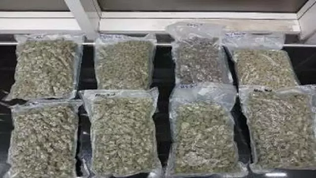 भुवनेश्वर हवाई अड्डे पर 7 करोड़ रुपये का Marijuana जब्त