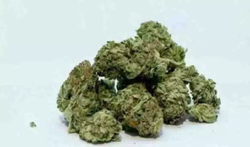 Marijuana की तस्करी के आरोप में दो महिलाएं गिरफ्तार