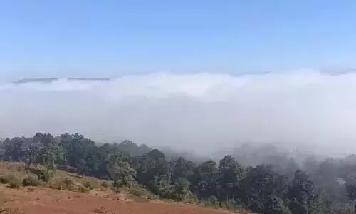 सरगुजा संभाग में ज्यादा ठंड, कोहरे का अलर्ट सरगुजा संभाग में ज्यादा ठंड, कोहरे का अलर्ट