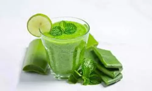 Aloe Vera Juice:   क्या सर्दियों में  रोज पी सकते हैं एलोवेरा जूस? जानिए यहां