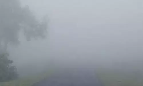 UP Weather  :बारिश और कोहरे का अलर्ट,कई इलाकों में ठंड बढ़ने की संभावना