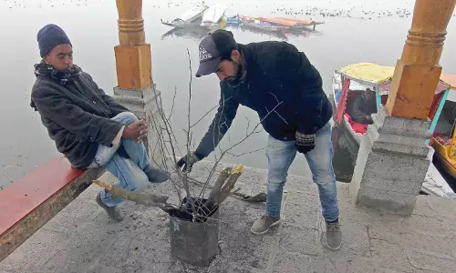 कश्मीर घाटी में बर्फबारी के बाद ठंड बढ़ी कश्मीर घाटी में बर्फबारी के बाद ठंड बढ़ी