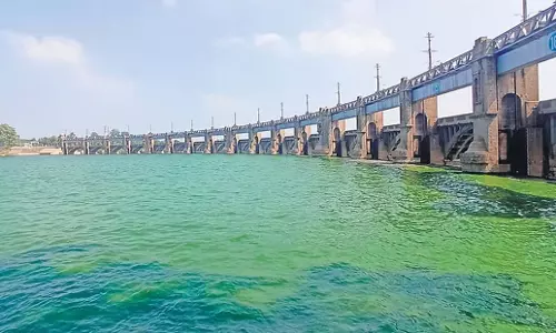 Tamil Nadu: पर्यटन को बढ़ावा देने के लिए नागामारई में वॉच टावर बनाया जाएगा