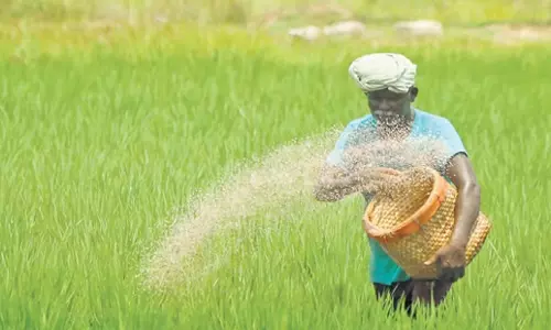 Tamil Nadu: अरियालुर और पेरम्बलुर के किसान स्थायी धान खरीद की मांग कर रहे