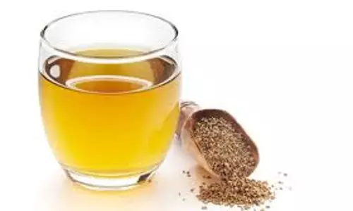 Celery Water Benefits: अजवाइन का पानी पीने के 3 जबरदस्त फायदे