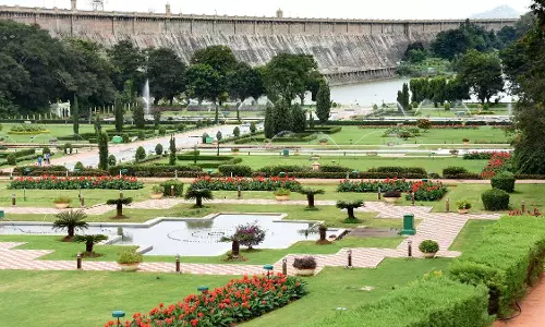 बृंदावन मनोरंजन पार्क: निविदाकर्ताओं की उदासीनता बृंदावन मनोरंजन पार्क: निविदाकर्ताओं की उदासीनता