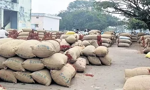 Warangal में लाल मिर्च के किसानों ने निर्यात में गिरावट-बाजार की चुनौतियों के बीच कम कीमतों का विरोध किया Warangal में लाल मिर्च के किसानों ने निर्यात में गिरावट-बाजार की चुनौतियों के बीच कम कीमतों का विरोध किया