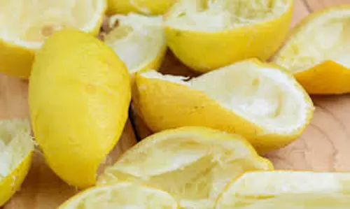 Lemon peel: नींबू का छिलका आएगा बहुत काम, इन अद्भुत तरीकों से करें इस्तेमाल Lemon peel: नींबू का छिलका आएगा बहुत काम, इन अद्भुत तरीकों से करें इस्तेमाल