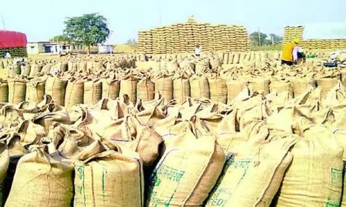 टोकन पोर्टल बन्द, किसान नहीं बेच पा रहे धान