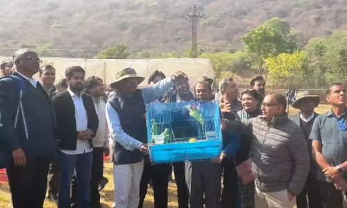 Udaipur: गोल्डन पार्क में 11वां बर्ड फेस्टिवल शुरू हुआ Udaipur: गोल्डन पार्क में 11वां बर्ड फेस्टिवल शुरू हुआ