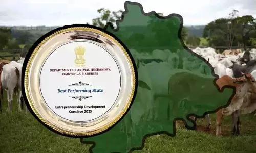 Telangana ने पशुधन क्षेत्र में ‘सर्वश्रेष्ठ प्रदर्शन करने वाला राज्य’ पुरस्कार जीता Telangana ने पशुधन क्षेत्र में ‘सर्वश्रेष्ठ प्रदर्शन करने वाला राज्य’ पुरस्कार जीता