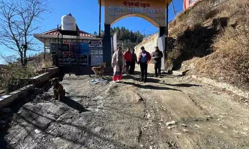 ठियोग Navodaya Vidyalaya तक संपर्क सड़क का कार्य शुरू
