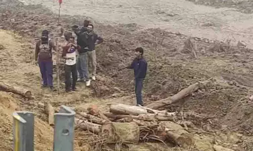 Ludhiana: पेड़ों की अवैध कटाई, सिंचाई विभाग आज जवाब दाखिल करेगा