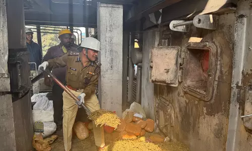 रायपुर में मादक पदार्थ का नष्टीकरण, पुलिस ने किया था जब्त रायपुर में मादक पदार्थ का नष्टीकरण, पुलिस ने किया था जब्त