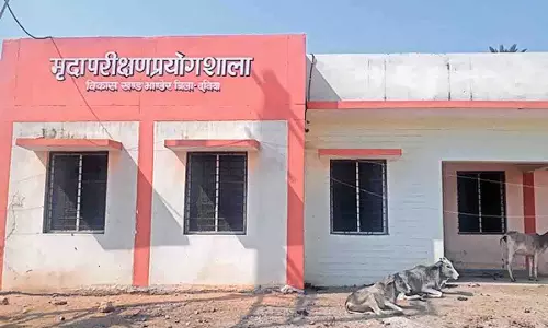 Punjab: 20 नई मृदा परीक्षण प्रयोगशालाएं स्थापित की जाएंगी