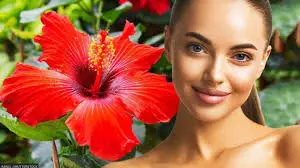 Skin care: गुड़हल के फूलों का अपनी त्वचा के लिए ऐसे करें इस्तेमाल, दिखेगी निखरी हुई Skin care: गुड़हल के फूलों का अपनी त्वचा के लिए ऐसे करें इस्तेमाल, दिखेगी निखरी हुई