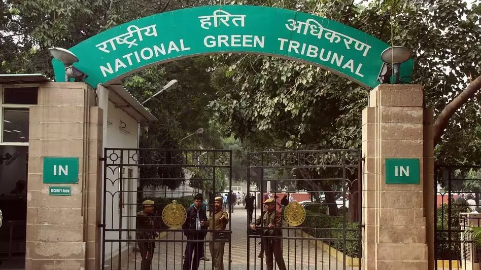 NGT ने रिजर्व फॉरेस्ट में अवैध निर्माण के लिए अरुणाचल सरकार को फटकार लगाई NGT ने रिजर्व फॉरेस्ट में अवैध निर्माण के लिए अरुणाचल सरकार को फटकार लगाई