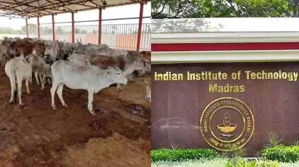 IIT चेन्नई के निदेशक को पशु चिकित्सा अनुसंधान की चेतावनी