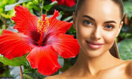 Skin care:  गुड़हल के फूलों का अपनी त्वचा के लिए ऐसे करें इस्तेमाल,   दिखेगी निखरी हुई