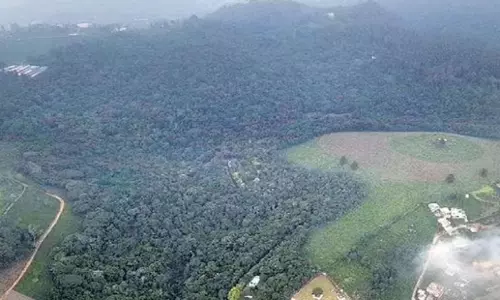 Tamil Nadu: कोटागिरी के निकट दो भालू बचाए गए