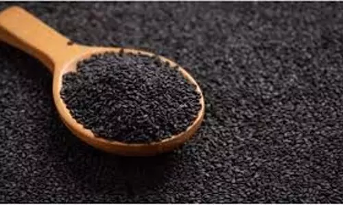 Kale Til ke upay: माघ महीने में तिल से करें ये चमत्कारी उपाय, पैसों से भर जाएगी आपकी तिजोरी Kale Til ke upay: माघ महीने में तिल से करें ये चमत्कारी उपाय, पैसों से भर जाएगी आपकी तिजोरी