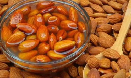 Health: रोजाना सिर्फ 5-6 बादाम, जानिए क्यों और कितनी मात्रा में खाना चाहिए Health: रोजाना सिर्फ 5-6 बादाम, जानिए क्यों और कितनी मात्रा में खाना चाहिए
