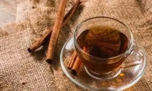 Health: सर्दियों में सुबह की शुरुआत दालचीनी के पानी से करें, मिलेंगे कमाल के फायदे