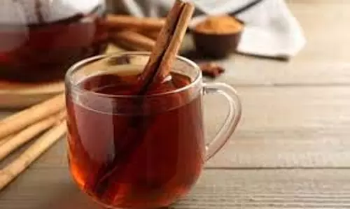 Honey Cinnamon Water: कई समस्याओं का कारगर उपाय है शहद दालचीनी का पानी