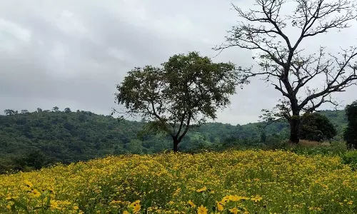 Andhra Pradesh के अराकू घाटी में नया पासपोर्ट कार्यालय खुलेगा