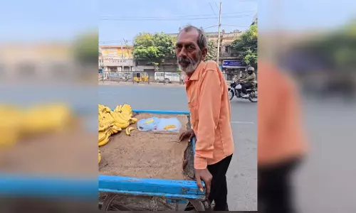गजब! 100 रुपये का एक केला, चकरा गया ना माथा