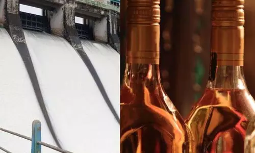 Kerala : सरकार ने पलक्कड़ शराब कंपनी के लिए