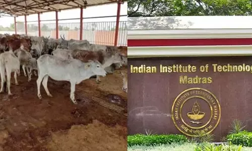 IIT चेन्नई के निदेशक को पशु चिकित्सा अनुसंधान की चेतावनी IIT चेन्नई के निदेशक को पशु चिकित्सा अनुसंधान की चेतावनी