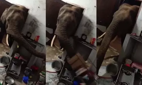 Coimbatore के कमरे में आई तस्वीर.. जान हथेली पर लेकर छुपे हुए थे युवा