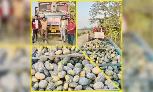 Assam : शिवसागर के किसानों ने कद्दू की पहली बड़ी खेप कोलकाता भेजी Assam : शिवसागर के किसानों ने कद्दू की पहली बड़ी खेप कोलकाता भेजी
