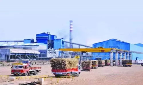 Solapur: बैंक द्वारा सांगोला फैक्ट्री के खिलाफ कार्रवाई, चीनी की आपसी बिक्री