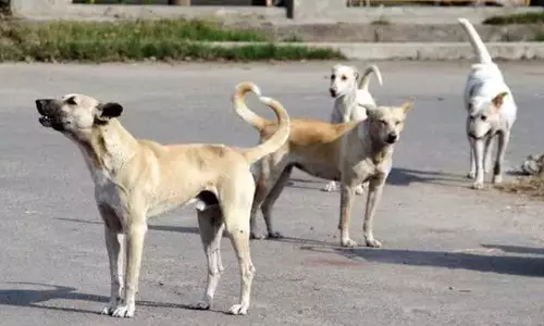 Madhya Pradesh: पुलिस ने 12 जनवरी को जबलपुर में घर में लगी आग की जांच शुरू की