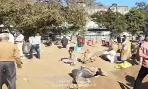 Pratapgarh अजवाइन की खेती का रकबा घटा Pratapgarh अजवाइन की खेती का रकबा घटा