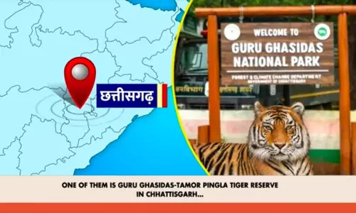 मन की बात में छत्तीसगढ़ के गुरुघासीदास तमोरपिंगला टाइगर रिजर्व की चर्चा भी