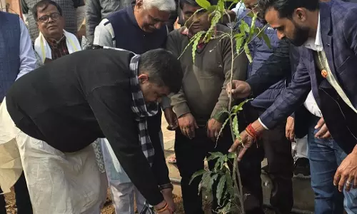 Jaipur: वन मंत्री ने पौधरोपण कर दिया पर्यावरण संरक्षण का संदेश Jaipur: वन मंत्री ने पौधरोपण कर दिया पर्यावरण संरक्षण का संदेश