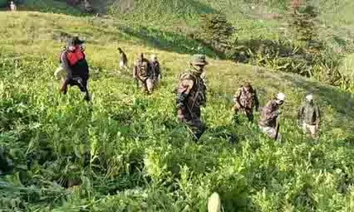 Manipur : मैतेई-कुकी संघर्ष ख़त्म करने अफीम की खेती का सफाया Manipur : मैतेई-कुकी संघर्ष ख़त्म करने अफीम की खेती का सफाया