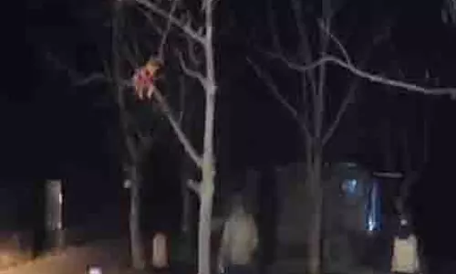 Police, सुरक्षा बलों ने सोपोर में आतंकी ठिकाने का किया भंडाफोड़