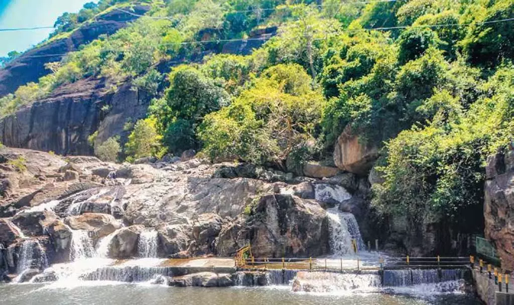 Tenkasi में भारी वर्षा मणिमुथर झरने में स्नान पर प्रतिबंध Tenkasi में भारी वर्षा मणिमुथर झरने में स्नान पर प्रतिबंध