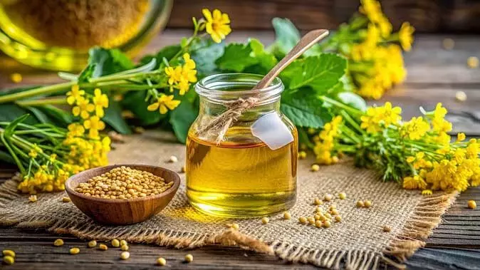 Mustard Oil Benefits: हाथ-पैरों पर सरसों का तेल लगाने के बड़े फायदे, जो हर किसी को पता होने चाहिए