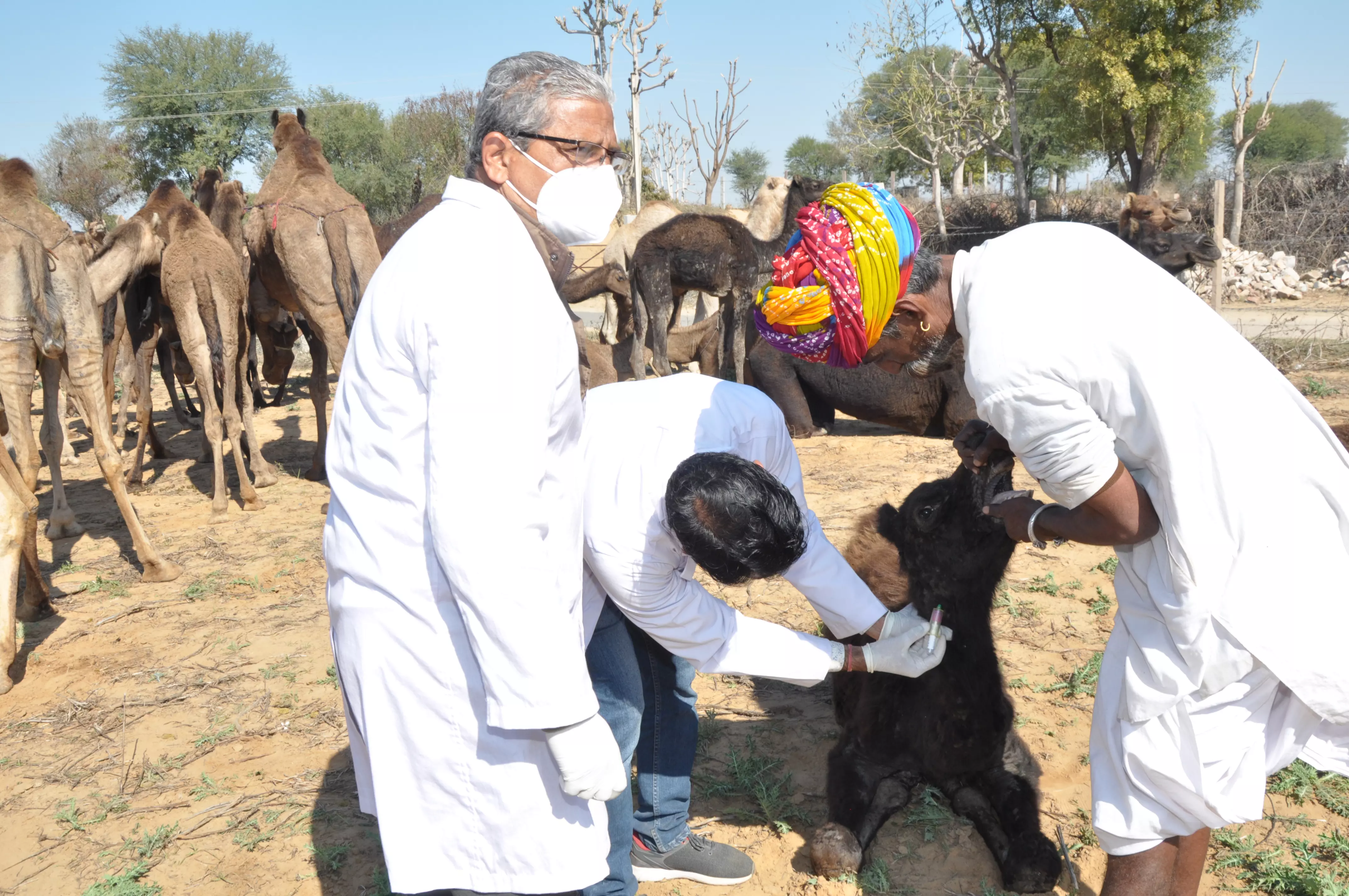 Jaipur: राज्य सरकार के एक वर्ष पूरा होने के उपलक्ष्य में राज्य में आयोजित Jaipur: राज्य सरकार के एक वर्ष पूरा होने के उपलक्ष्य में राज्य में आयोजित
